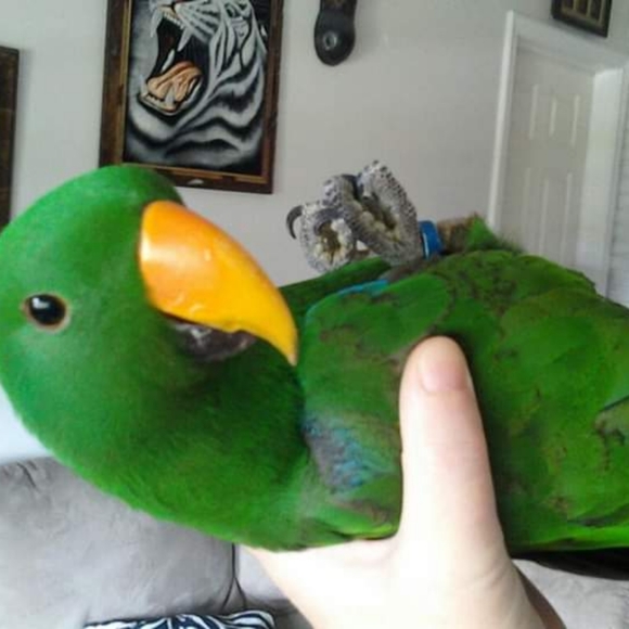 Crystals And Minerals - Picture 3 of 8